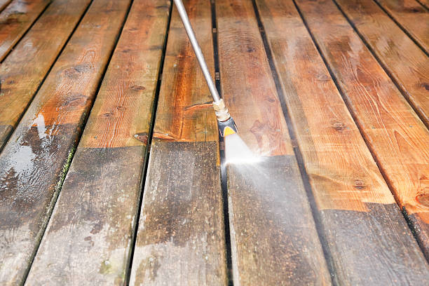 Animal Enclosure Cleaning in Winchester, TN